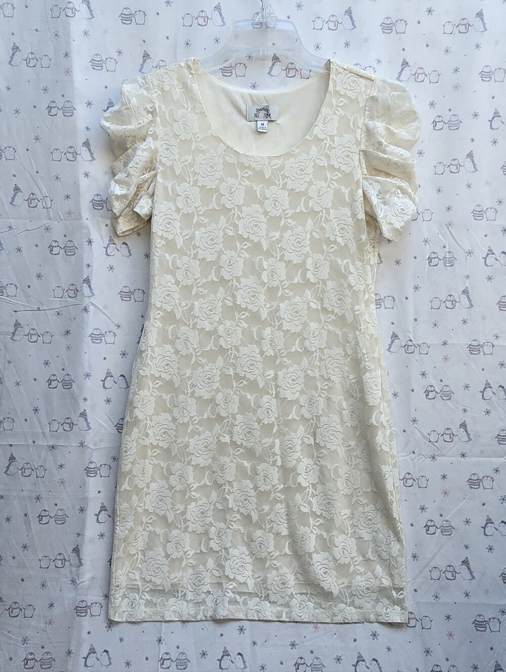 Sweet Storm cream-colored floral lace mini dress lined with short puff sleeves.